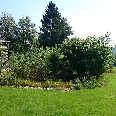Spacious In Langewiese With Garden *